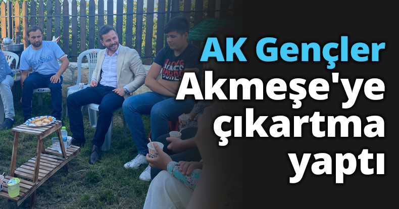 AK Gençler Akmeşe'ye çıkartma yaptı