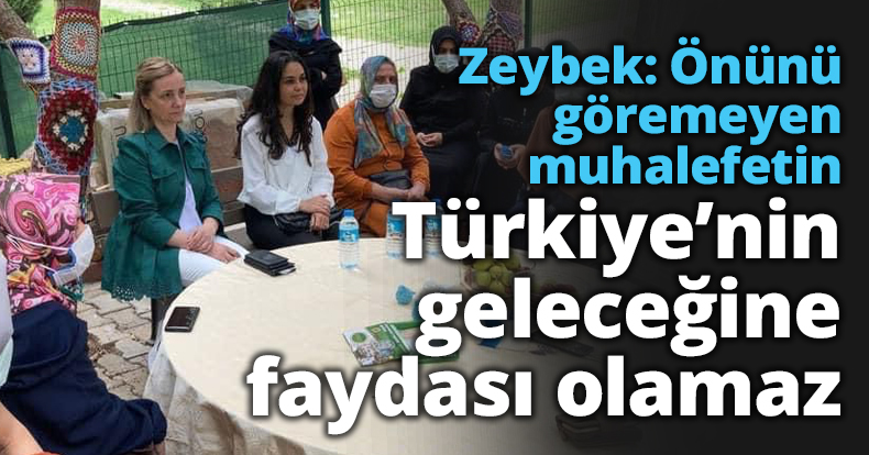 Zeybek: Önünü göremeyen muhalefetin Türkiye’nin geleceğine faydası olamaz