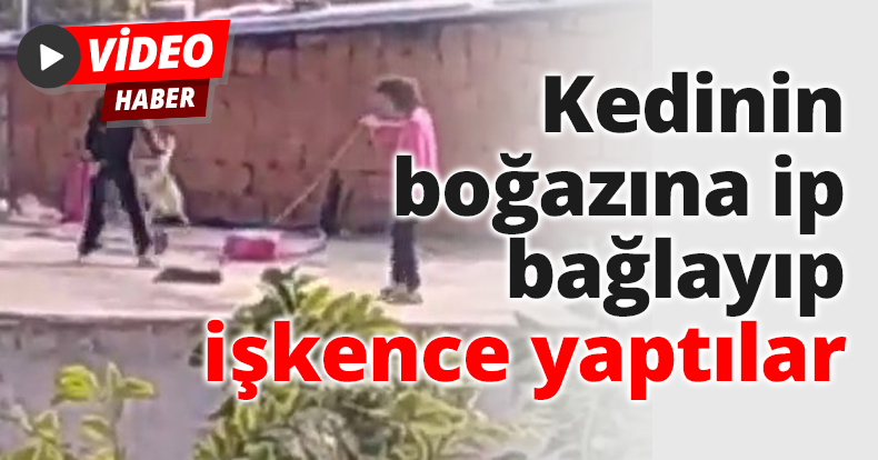 Kedinin boğazına ip bağlayıp işkence yaptılar