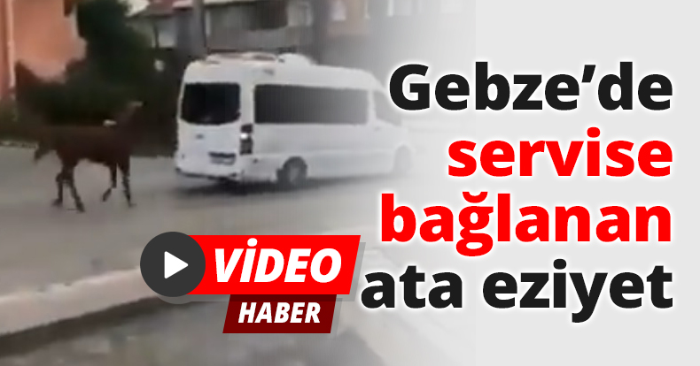 Gebze’de servise bağlana ata eziyet