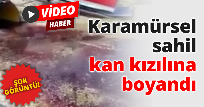 Karamürsel sahil kan kızılına boyandı
