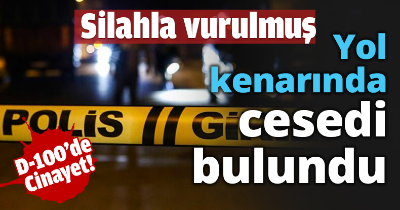 Yol kenarında cesedi bulundu