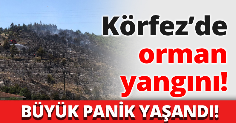 Körfez’de orman yangını!