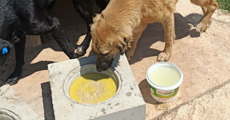 Can Dostlarımızın daima yanındayız