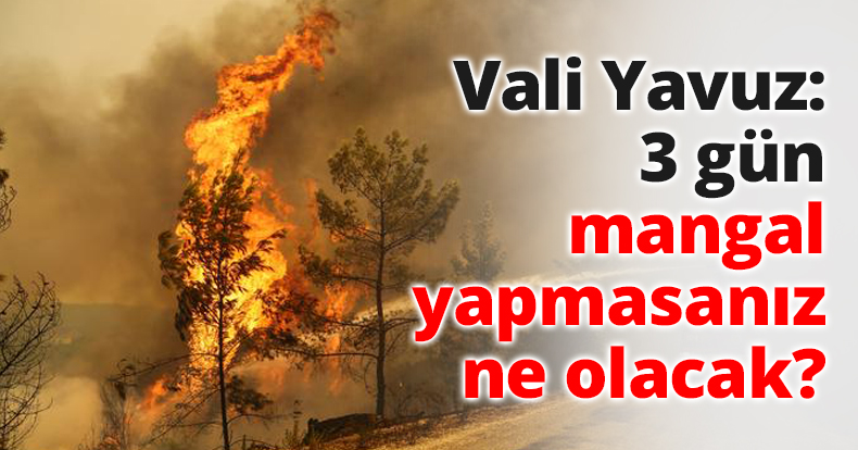 Vali Yavuz: 3 gün mangal yapmasanız ne olacak?