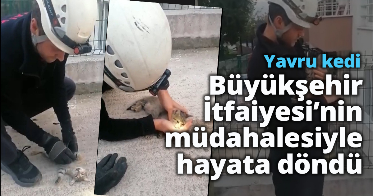 Yavru kedi Büyükşehir İtfaiyesi’nin müdahalesiyle hayata döndü   