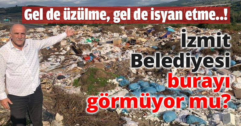 İzmit Belediyesi burayı görmüyor mu?