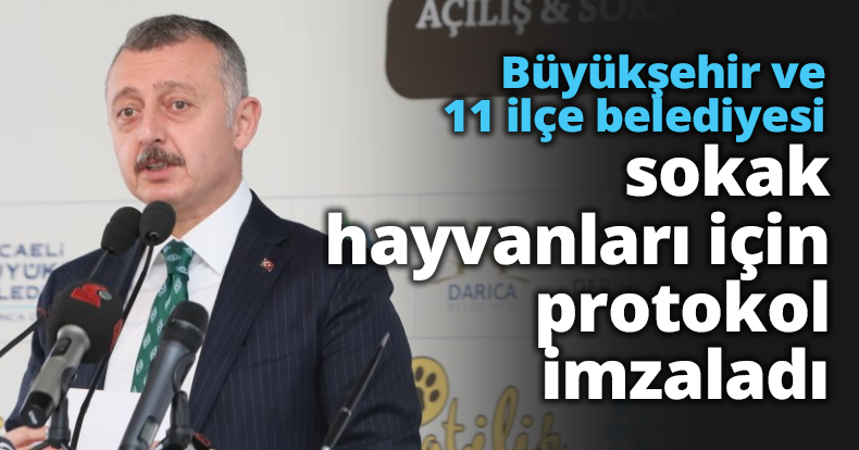 Büyükşehir ve 11 ilçe belediyesi sokak hayvanları için protokol imzaladı
