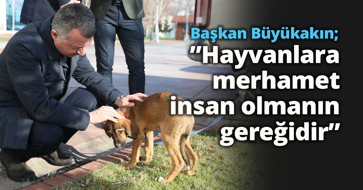 Başkan Büyükakın; ”Hayvanlara merhamet insan olmanın gereğidir”