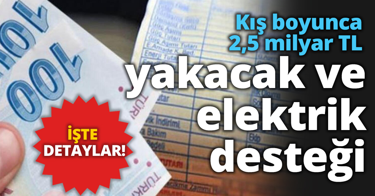 Kış boyunca 2,5 milyar TL yakacak ve elektrik desteği