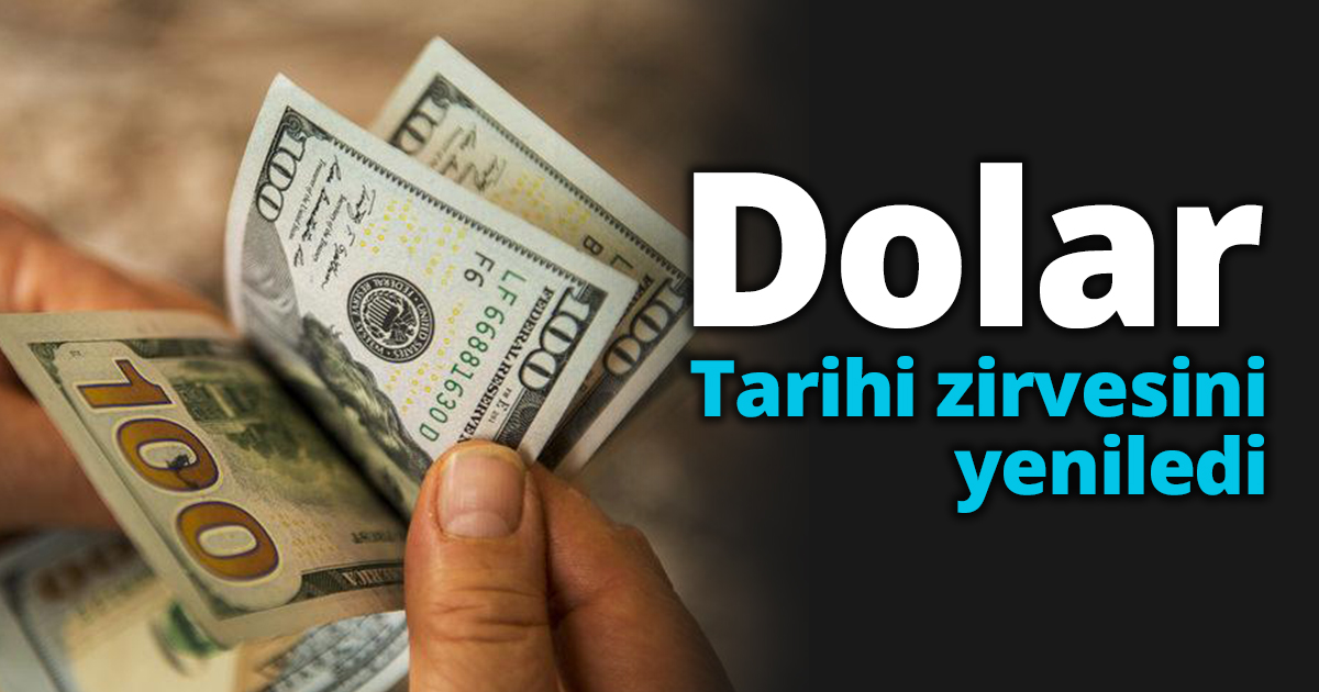 Dolar tarihi zirvesini yeniledi
