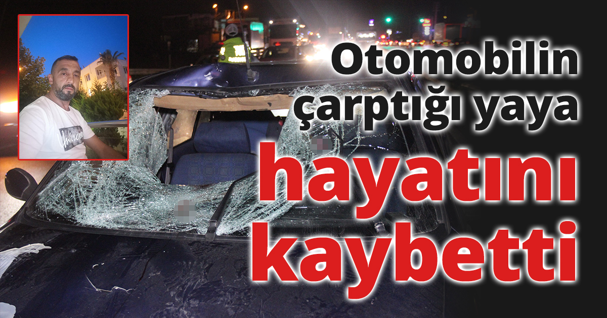 Otomobilin çarptığı yaya hayatını kaybetti