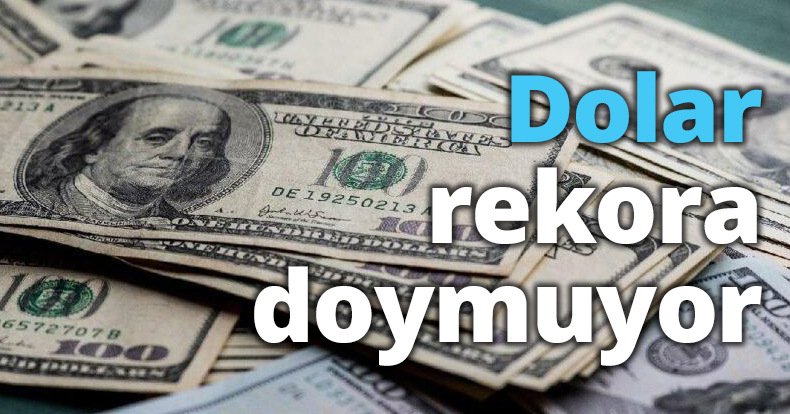 Dolar rekora doymuyor