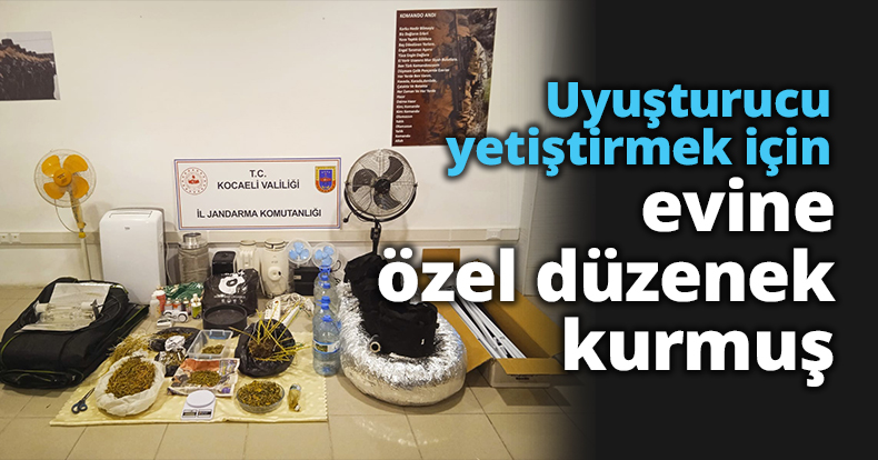 Uyuşturucu yetiştirmek için evine özel düzenek kurmuş