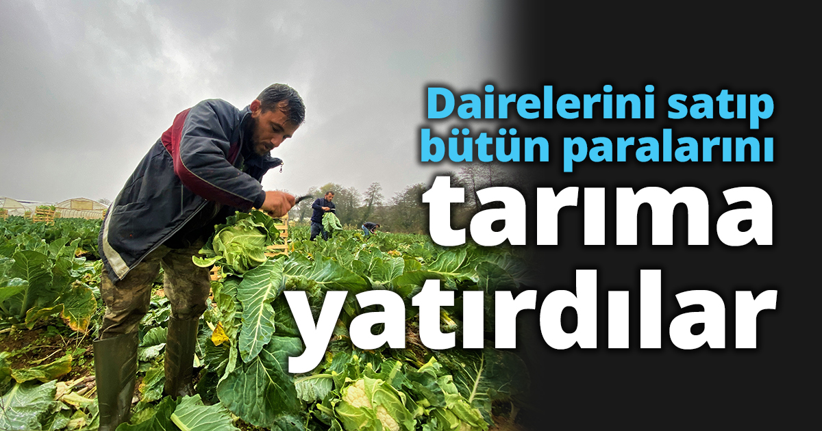 Dairelerini satıp bütün paralarını tarıma yatırdılar