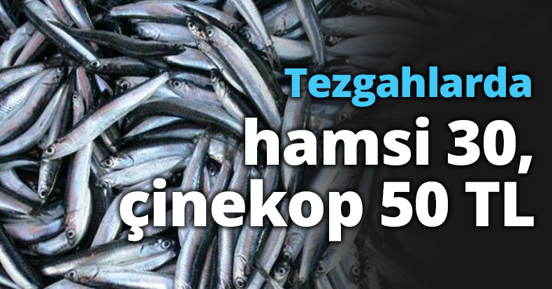 Tezgahlarda hamsi 30, çinekop 50 TL