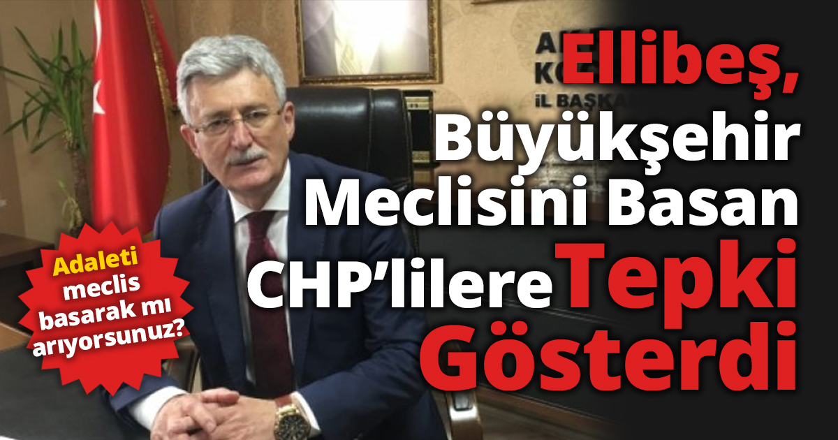Ellibeş, Büyükşehir Meclisini Basan Chplilere Tepki Gösterdi