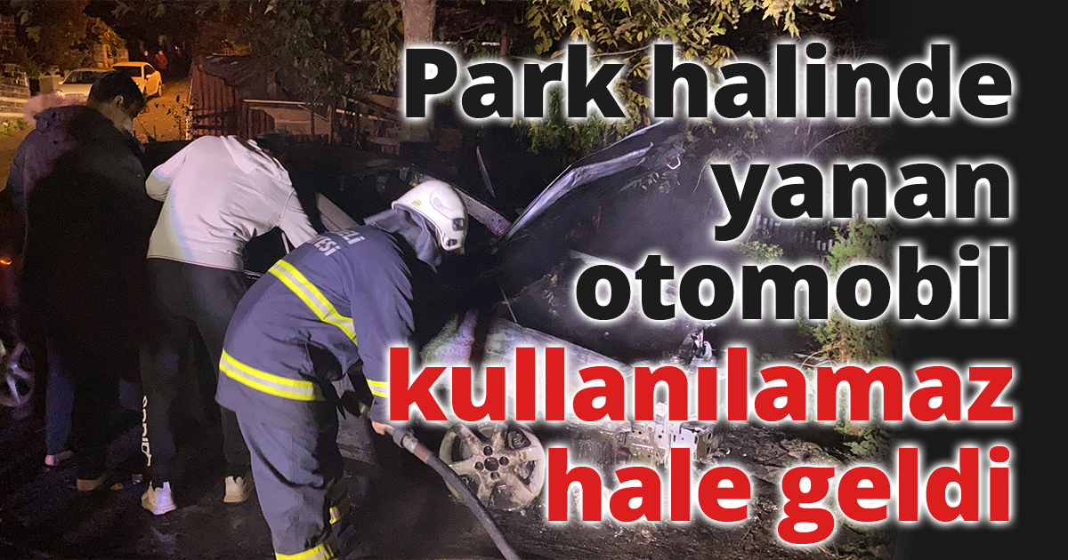 Park halinde yanan otomobil kullanılamaz hale geldi