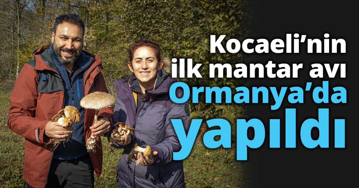Kocaeli’nin ilk mantar avı Ormanya’da yapıldı