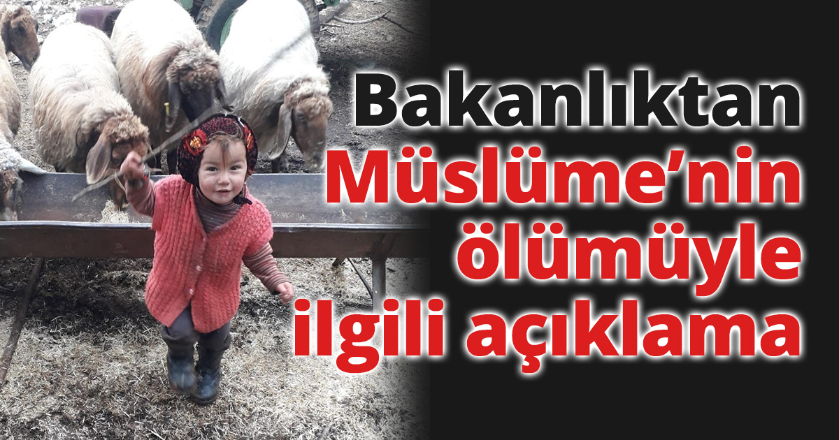 Aile ve Sosyal Hizmetler Bakanlığı'ndan Müslüme'nin ölümüne ilişkin açıklama