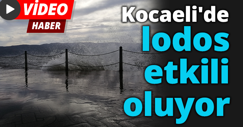 Kocaeli'de lodos etkili oluyor