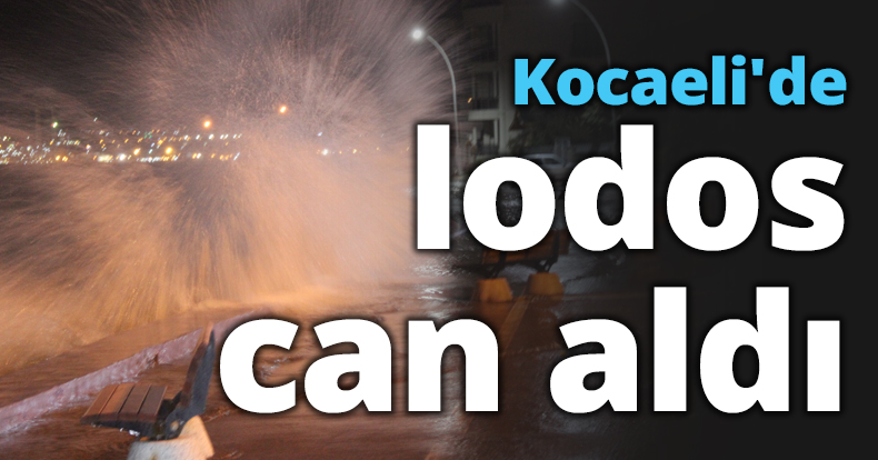 Kocaeli'de lodos can aldı