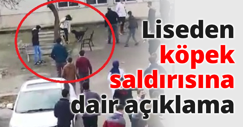 Liseden köpek saldırısına dair açıklama