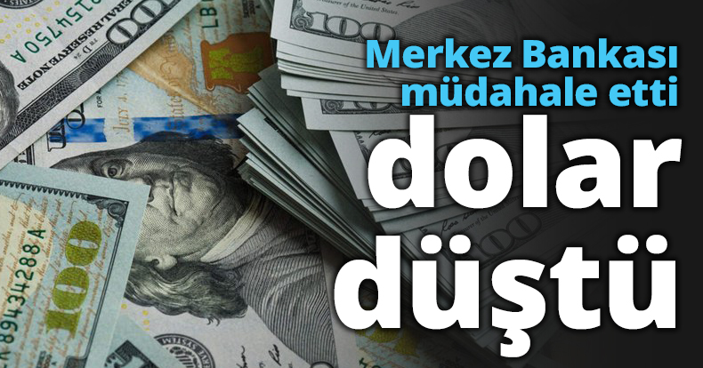 Merkez Bankası müdahale etti dolar düştü