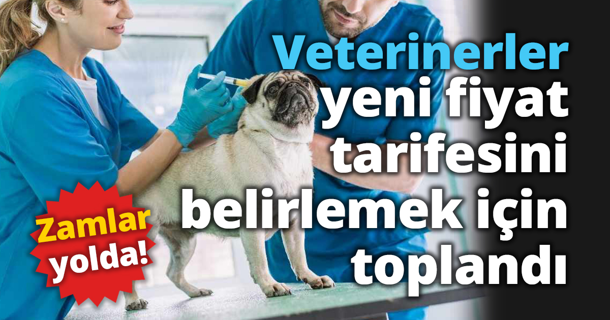 Zamlar yolda! Veterinerler yeni fiyat tarifesini belirlemek için toplandı