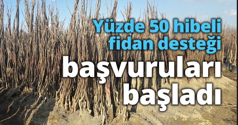Yüzde 50 hibeli fidan desteği başvuruları başladı