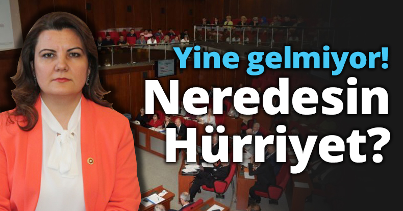 Yine gelmiyor! Neredesin Hürriyet?