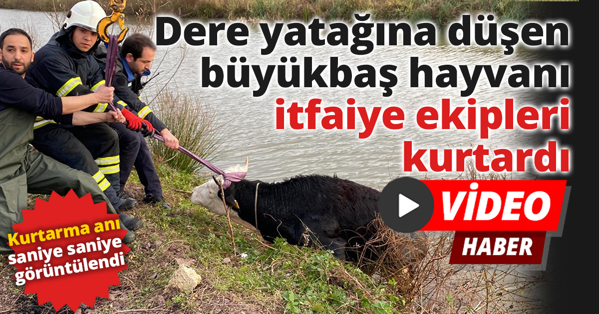 Dere yatağına düşen büyükbaş hayvanı itfaiye ekipleri kurtardı