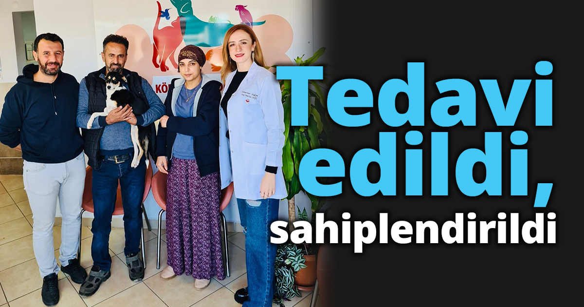 Tedavi edildi, sahiplendirildi