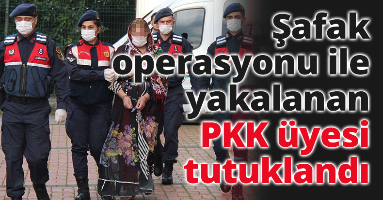 Şafak operasyonu ile yakalanan PKK üyesi tutuklandı