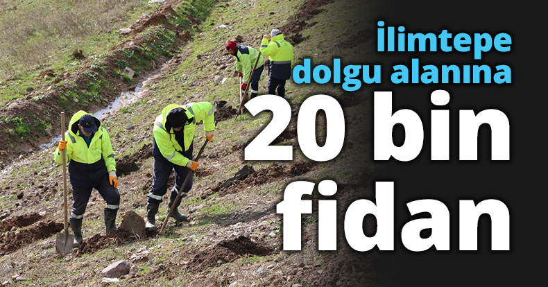 İlimtepe dolgu alanına 20 bin fidan