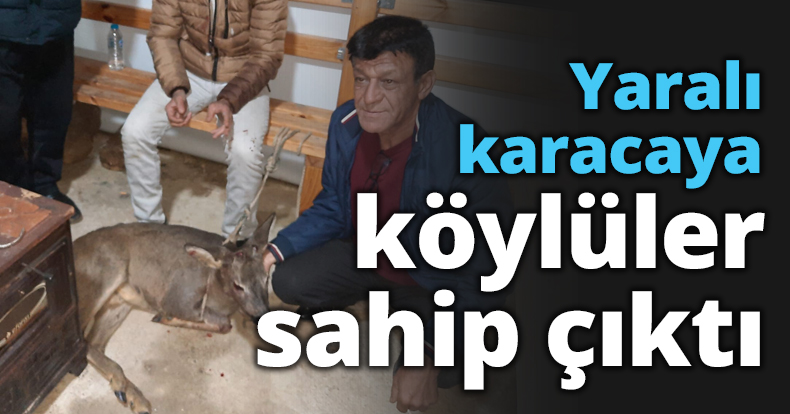 Yaralı karacaya köylüler sahip çıktı