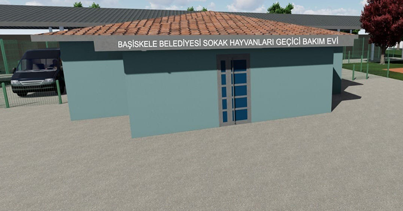 Başiskele'de sokak hayvanları için bakımevi yapılacak