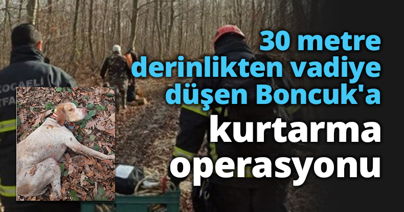 30 metre derinlikten vadiye düşen Boncuk'a kurtarma operasyonu