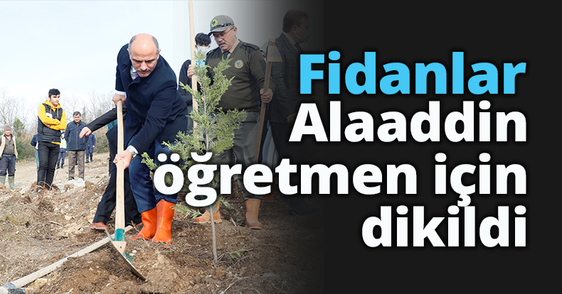 Fidanlar Alaaddin öğretmen için dikildi