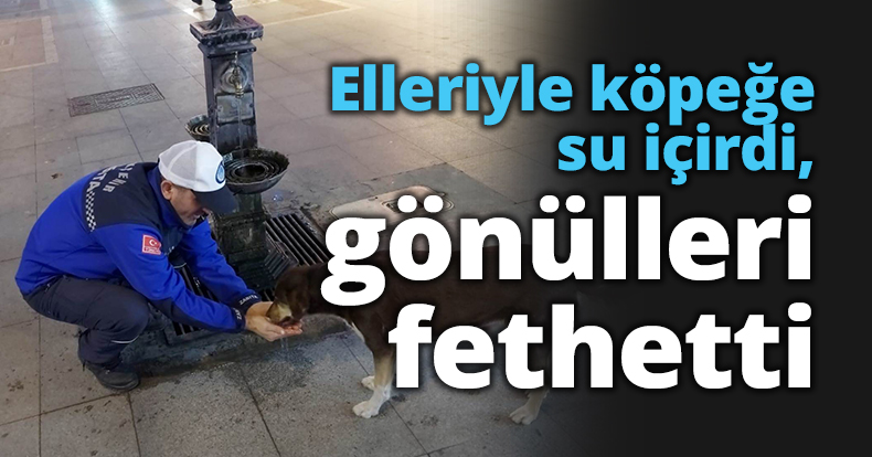 Elleriyle köpeğe su içirdi, gönülleri fethetti