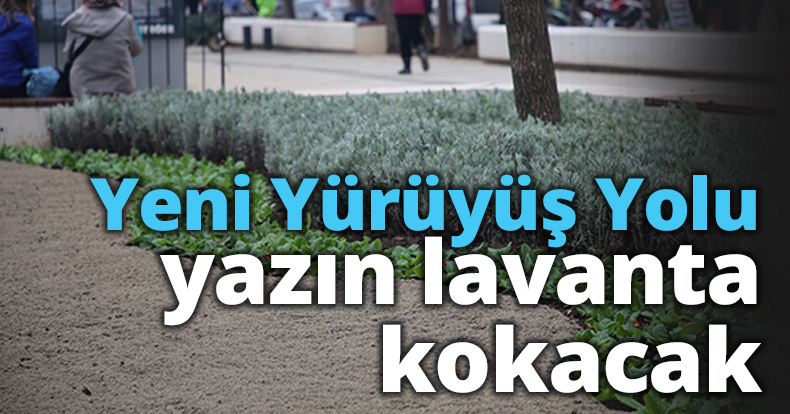 Yeni Yürüyüş Yolu Yazın Lavanta Kokacak