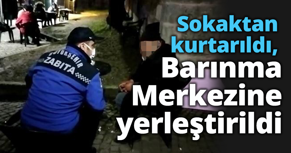 Sokaktan kurtarıldı, Barınma Merkezine yerleştirildi