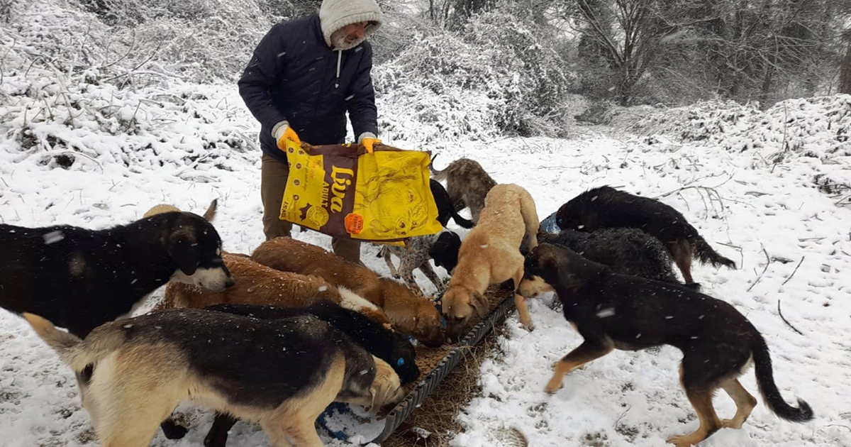 KARTEPE’DE SOKAK HAYVANLARI EMİN ELLERDE   