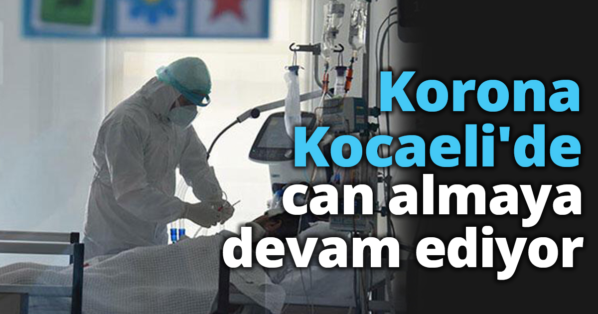 Korona Kocaeli'de can almaya devam ediyor