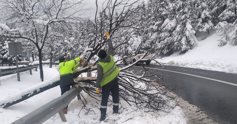 Gebze bölgesinde kar yağışında kırılan ağaç dalları kaldırılıyor
