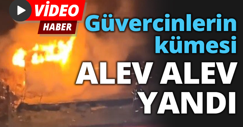 Güvercinlerin kümesi alev alev yandı