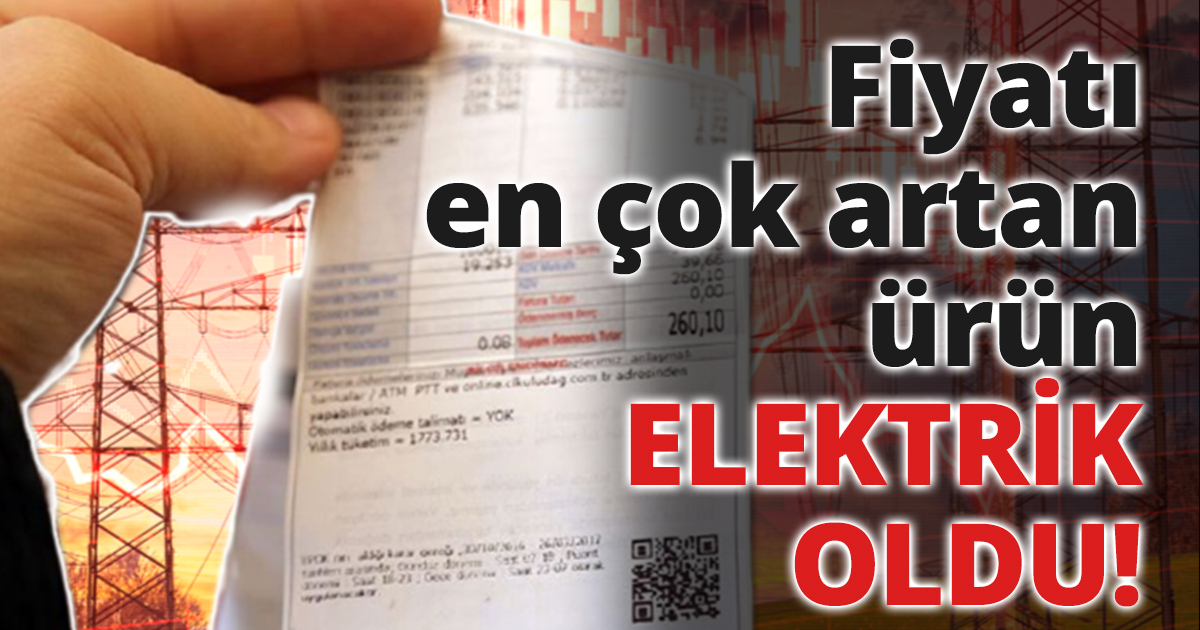 Fiyatı en çok artan ürün elektrik oldu