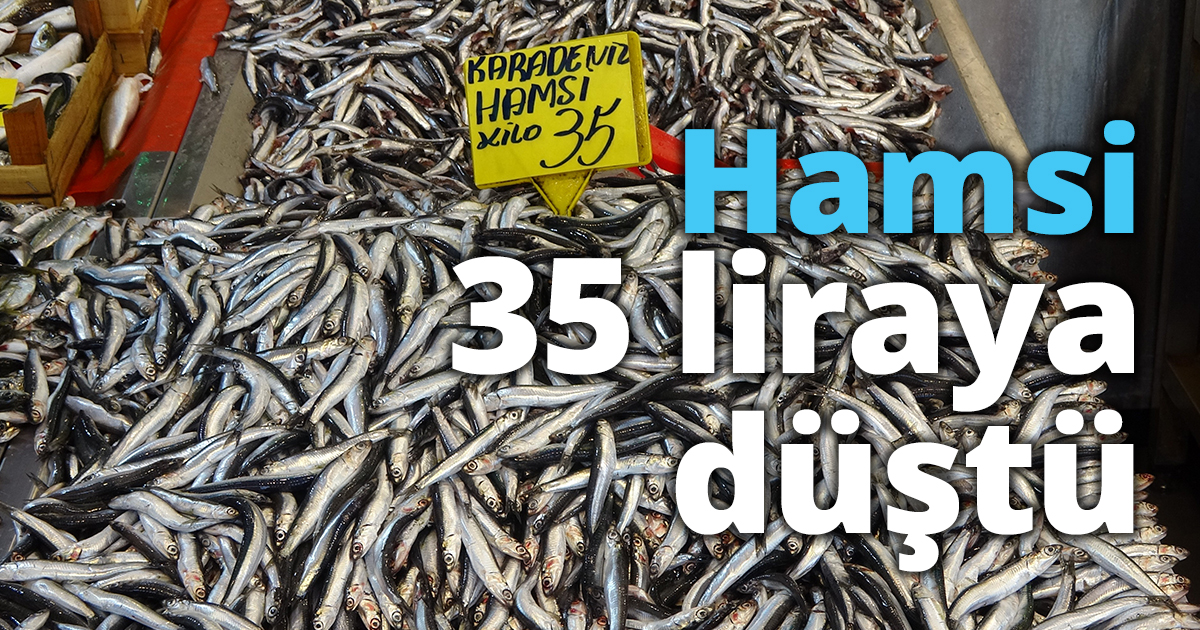 Hamsi 35 liraya düştü