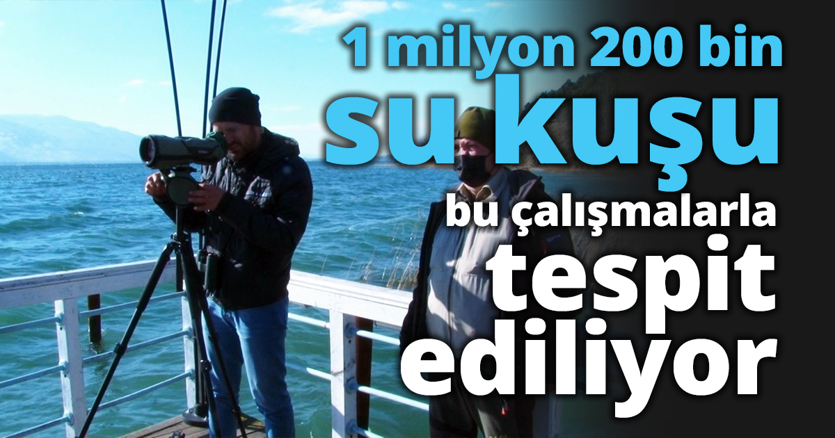 Ortalama 1 milyon 200 bin su kuşu bu çalışmalarla tespit ediliyor