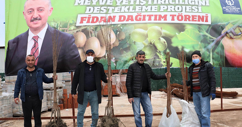 Büyükşehir’in yüzde 50 hibeli fidan dağıtımı başladı   